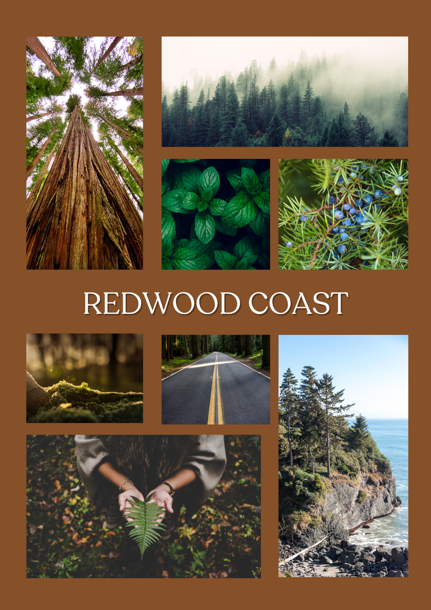 Redwood Coast Wax Melt